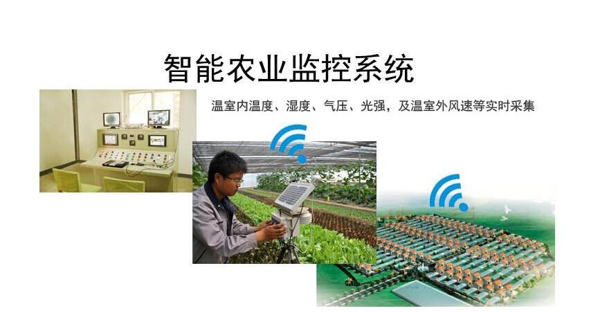 網格化微型農業氣象站