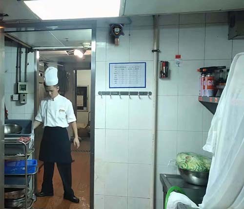 工業級可燃氣體探測器